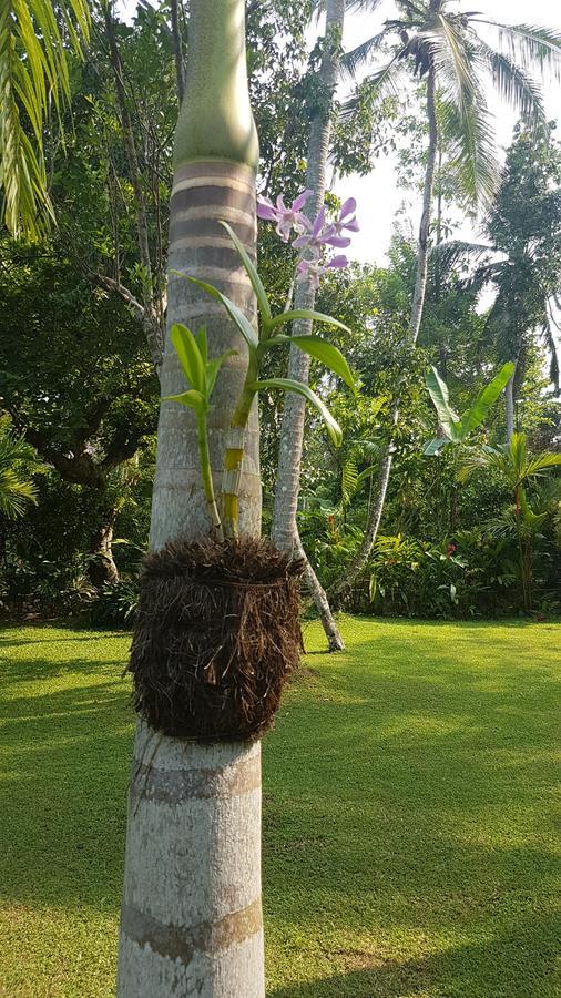 Good Karma Villa Bentota Buitenkant foto