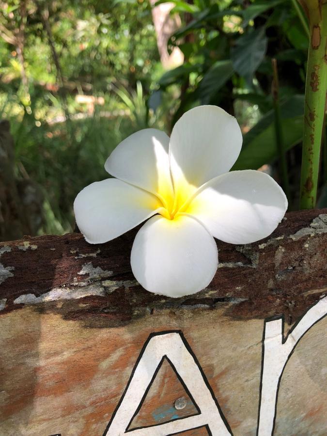 Good Karma Villa Bentota Buitenkant foto